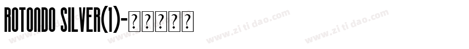 Rotondo Silver(1)字体转换